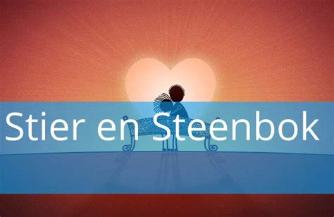 stier en steenbok relatie|Liefdescompatibiliteit: Steenbokvrouw en Stier